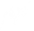 NOTD Merch